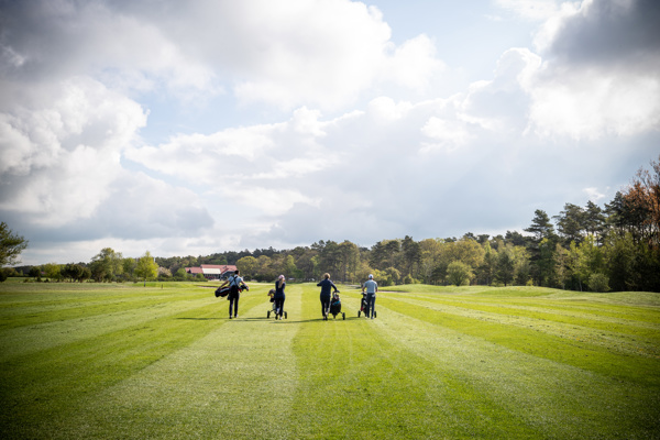 Golfvärdar och greenfeekontroller