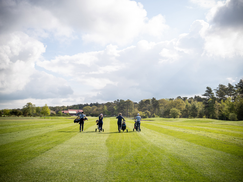 Golfvärdar och greenfeekontroller